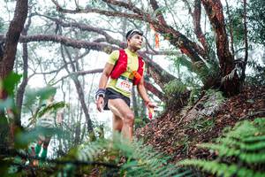 BIB: 
                            <button type="button" onclick="openModal(26295356)" class="btn btn-primary btn-sm float-right btn-popup" data-toggle="modal" data-target=".modal-high-quality">
                        <i class="fas fa-shopping-cart"></i> Add to Cart
                    </button>
                                            <button type="button" onclick="isThisMe(26295356, true)" class="btn btn-success btn-sm float-right btn-popup btn-isme hidden" data-toggle="tooltip" data-placement="bottom" title="นี่คือรูปของคุณใช่ไหม คลิกที่นี่เพื่อเอาเข้าอัลบั้ม">
                        <i class="fas fa-plus"></i> Add to album
                    </button>
                    <button type="button" onclick="isThisMe(26295356, false)" class="btn btn-warning btn-sm float-right btn-popup btn-isnotme hidden">
                        <i class="fas fa-ban"></i> Remove from album
                    </button>